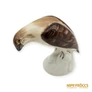 Kép 1/10 - Aquincumi porcelán - Barna madár