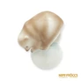 Kép 2/10 - Hollóházi porcelán -  Cirkuszi medve