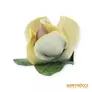 Kép 3/7 - Aquincumi porcelán -  Kis rózsa