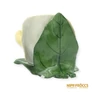 Kép 5/7 - Aquincumi porcelán -  Kis rózsa