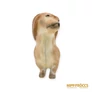 Kép 3/12 - Aquincumi porcelán -  Tacskó