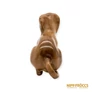 Kép 7/12 - Aquincumi porcelán -  Tacskó