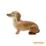 Kép 9/12 - Aquincumi porcelán -  Tacskó