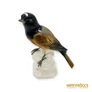 Kép 1/12 - Volkstedt porcelán - Madár
