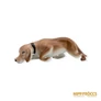 Kép 1/13 - Porcelán, kerámia - Vizsla