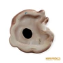 Kép 12/12 - Porcelán