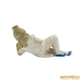 Kép 6/11 - Porcelán