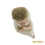 Kép 10/11 - Porcelán