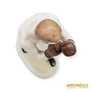 Kép 9/10 - Hollóházi porcelán -  Bokszoló
