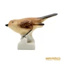 Kép 4/10 - Aquincumi porcelán -  Apró madár