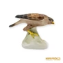 Kép 1/10 - Aquincumi porcelán - Sólyom