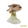 Kép 2/10 - Aquincumi porcelán -  Sólyom