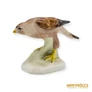 Kép 4/10 - Aquincumi porcelán -  Sólyom