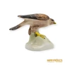 Kép 8/10 - Aquincumi porcelán -  Sólyom