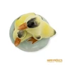 Kép 8/9 - Aquincumi porcelán -  Sárga kacsa pár