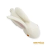 Kép 8/9 - Aquincumi porcelán -  Nyúl