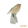 Kép 3/10 - Aquincumi porcelán -  Kis madár