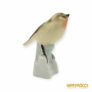 Kép 3/10 - Aquincumi porcelán -  Kis madár