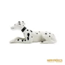 Kép 8/10 - Apulum porcelán -  Dalmata
