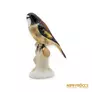 Kép 4/10 - Aquincumi porcelán -  Ágon ülő madár