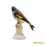 Kép 5/10 - Aquincumi porcelán -  Ágon ülő madár