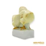Kép 6/10 - Aquincumi porcelán -  Két csibe