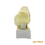Kép 7/10 - Aquincumi porcelán -  Két csibe