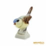 Kép 2/10 - Aquincumi porcelán -  Apró barna madár