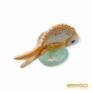 Kép 9/10 - Hollóházi porcelán -  Narancssárga aranyhal
