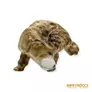Kép 2/10 - Zsolnay porcelán -  Vakaródzó kutya