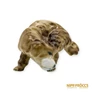 Kép 2/10 - Zsolnay porcelán -  Vakaródzó kutya