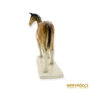 Kép 7/10 - Royal Dux porcelán -  Ló