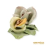 Kép 3/6 - Aquincumi porcelán -  Rózsák
