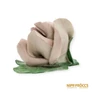 Kép 5/6 - Aquincumi porcelán -  Rózsa