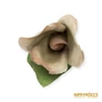 Kép 1/6 - Aquincumi porcelán - Rózsa