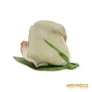 Kép 5/6 - Aquincumi porcelán -  Rózsa