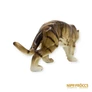 Kép 6/10 - Tigris