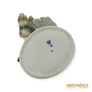 Kép 10/10 - Lippelsdorf porcelán -  Nyúlra vadászó sas