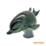 Kép 3/10 - Delfin