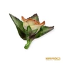 Kép 3/8 - Hollóházi porcelán -  Piros rózsa
